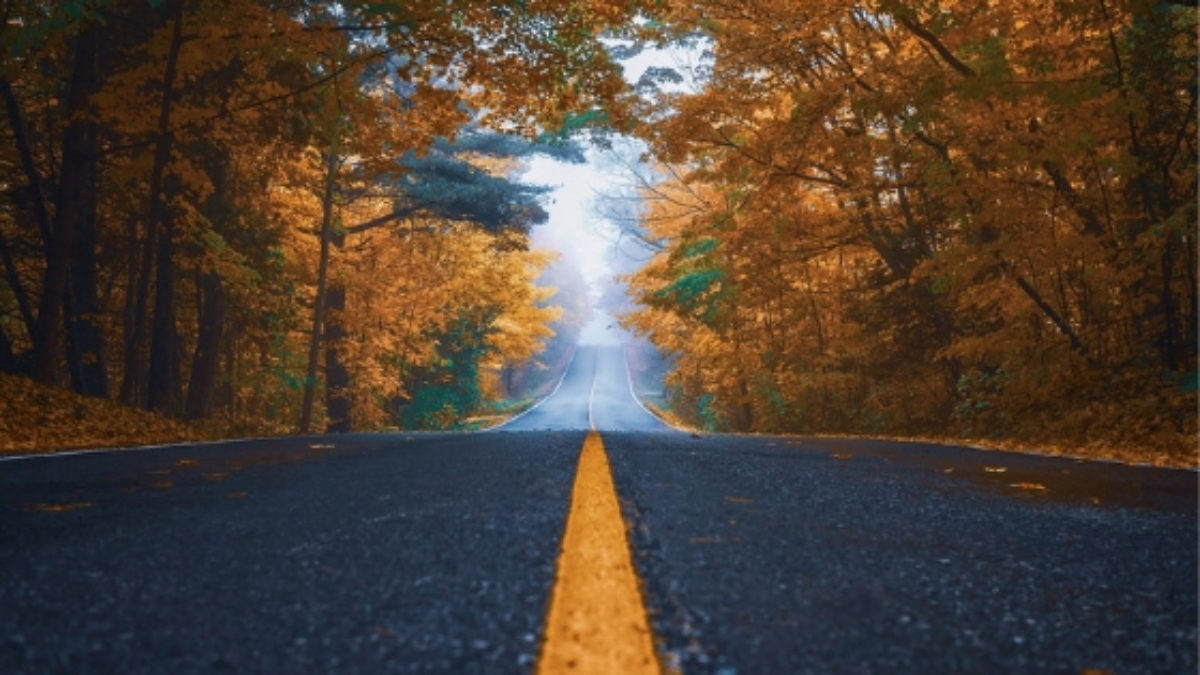 Early-stage companies look to the LLC form of business entity