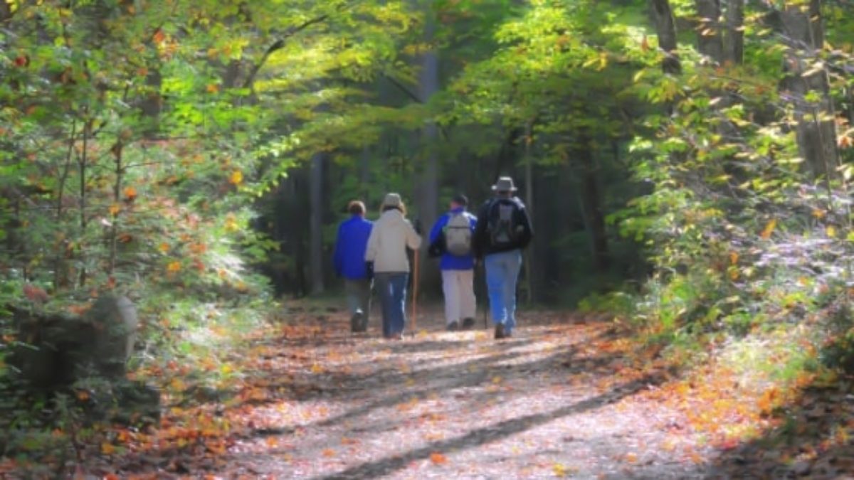 The Movement to Improve End-of-Life Health Care Planning