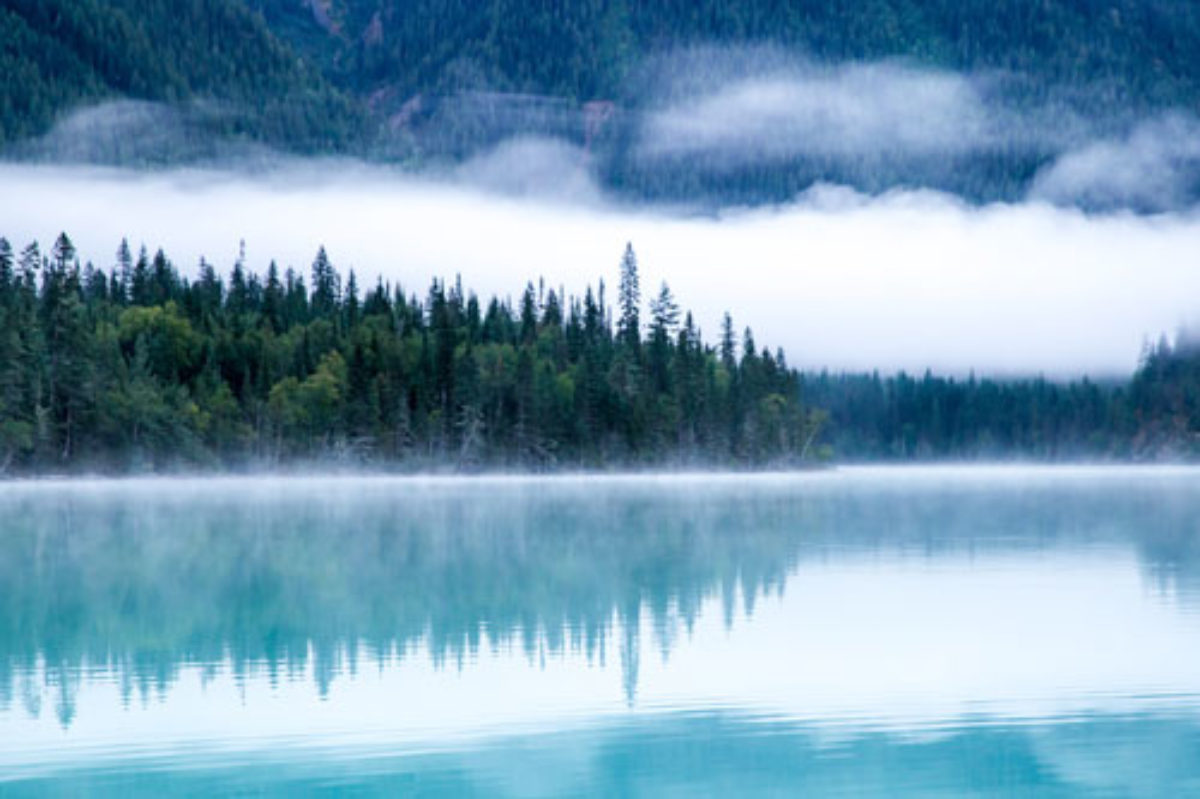 How the SECURE Act impacts your plan for your retirement accounts. It is a good time to review.