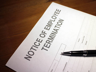 Government Employees Receiving Notices of Termination: Now What?